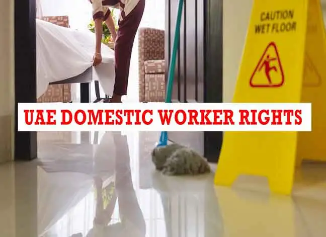 Labor laws domestic worker